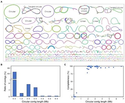 Recovery of metagenome-assembled microbial genomes from a full-scale biogas plant of food waste by pacific biosciences high-fidelity sequencing